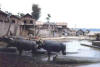 Mandalay, en Birmanie ! 